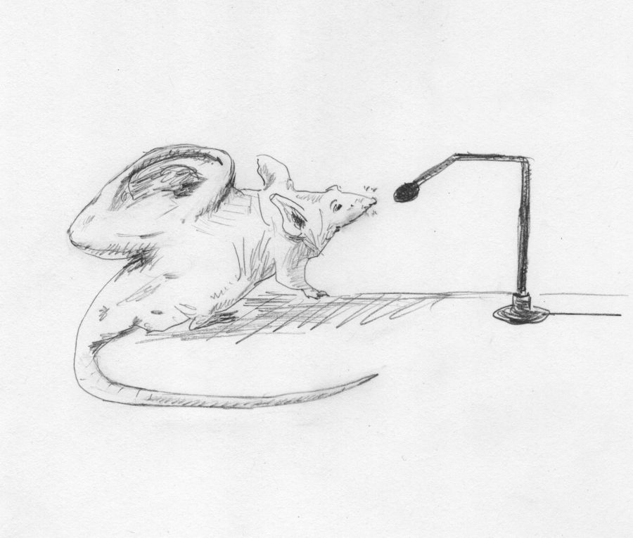A small mouse with an ear on its back, speaks into the mic.