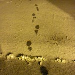 human foot prints in the snow