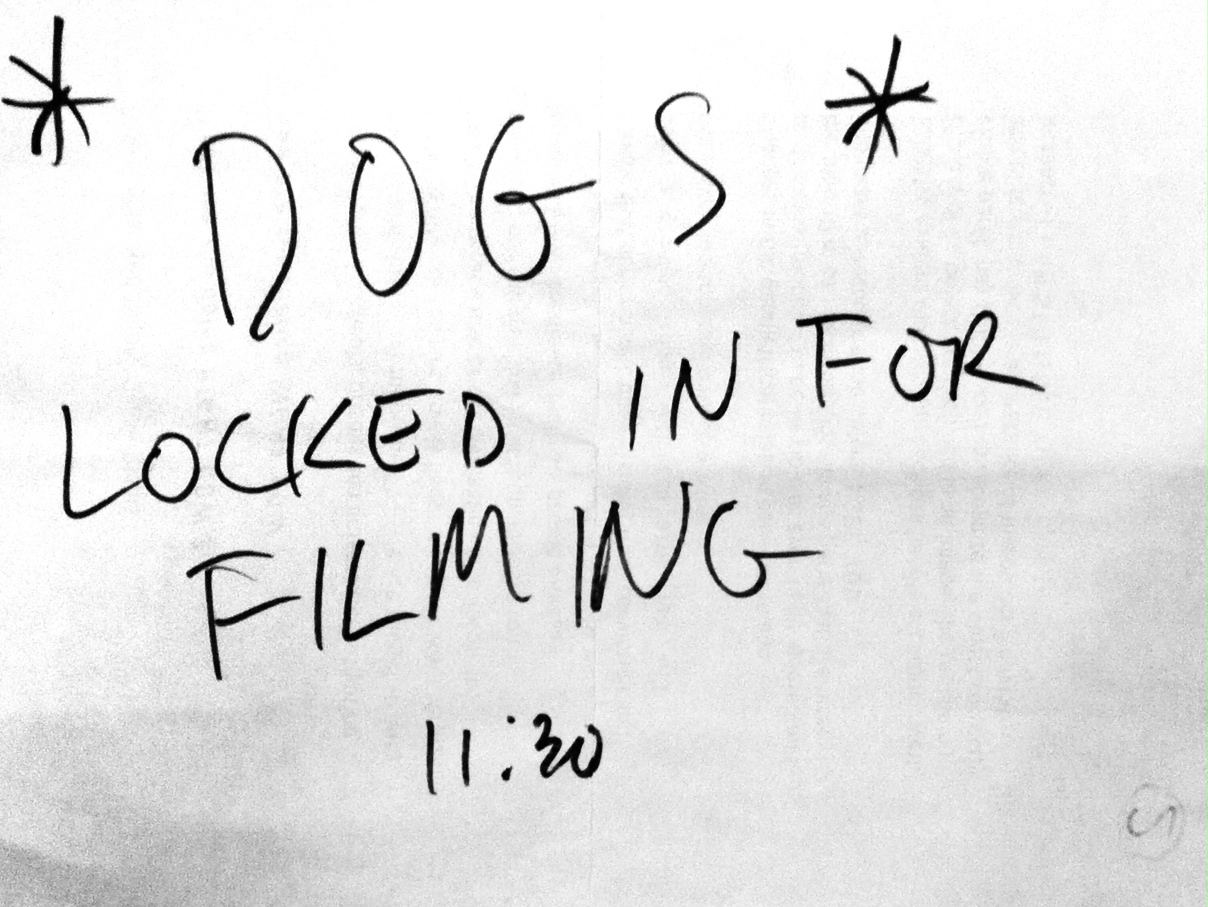 Sign for the dogs.